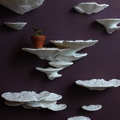 several pieces of white clay are arranged on a purple wall