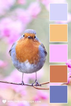 a small bird sitting on top of a tree branch next to pink and blue flowers