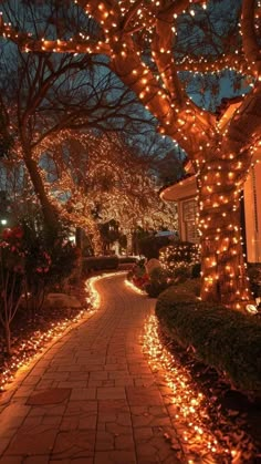 a walkway is lit up with christmas lights