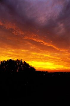 an orange and purple sky with trees in the foreground