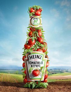 an advertisement for heinz's tomato ketchup with tomatoes growing on the top