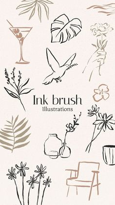 ink brush illustrations with flowers and plants