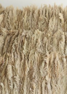 a close up view of a sheep's wool texture