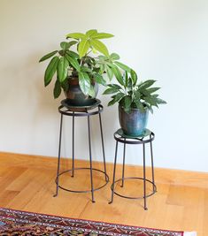 two potted plants sitting on stools next to each other