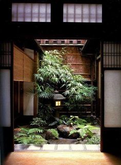 an open door to a room with plants in it