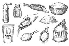 hand drawn illustration of salt and spices