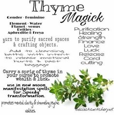 Herb Meanings, Plant Remedies, Root Work, Herb Guide, Spells That Really Work, Birth Stones, Witch Tips