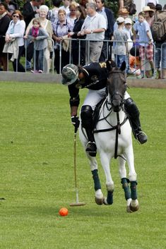 a man riding on the back of a white horse next to a ball and a stick