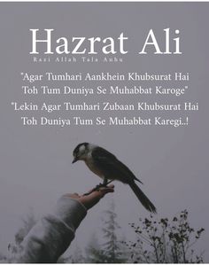 a person holding a bird in their hand with the caption hazrat ali