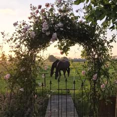 a horse grazes in the grass behind an iron gate with pink flowers on it