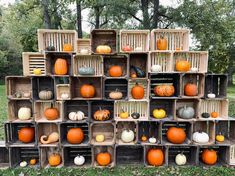 crates filled with pumpkins and gourds sitting on the ground in front of trees