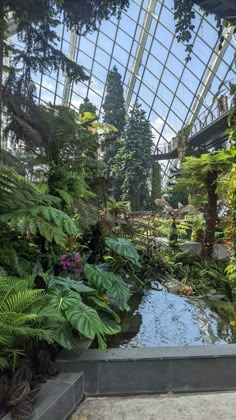 the inside of a tropical garden with plants and water in it's center area