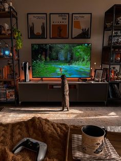 a cat standing in front of a flat screen tv