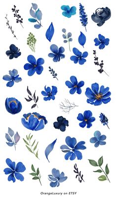 blue flowers and leaves are arranged in the shape of watercolors on white paper