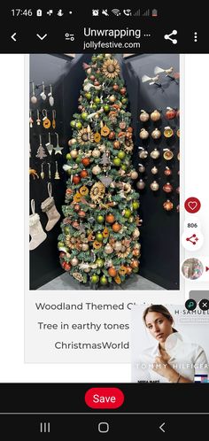 Earthy Tones, Christmas Trees, Trees, Christmas Tree, Christmas