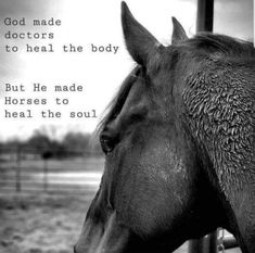 a black and white photo of a horse with the words god made doctors to heal the body but he made horses to heal the soul