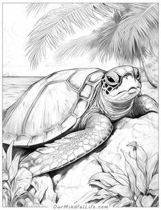 a black and white drawing of a sea turtle on the beach with palm trees in the background