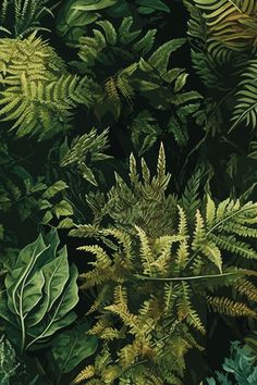 a painting of green plants and leaves on a black background with the words,'fern forest