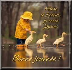 a little boy that is standing in the rain with ducks