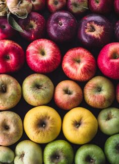 many different types of apples arranged in rows