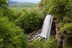 a waterfall surrounded by trees in the woods