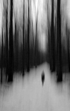 a blurry image of a person walking through the woods with trees in the background