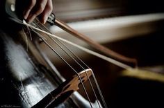 a person is playing an instrument with strings