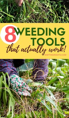 a person with gardening gloves in the grass and text that reads 8 weeding tools that actually work