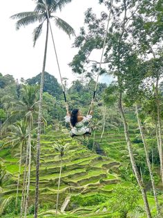 a woman is swinging from a rope in the air above rice terraces and palm trees