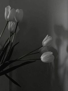 black and white photograph of flowers in a vase