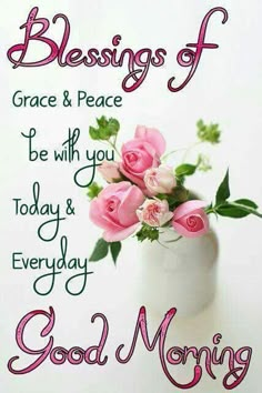 pink roses in a white vase with green leaves and the words, blessing of grace & peace be with you today and everyday good morning