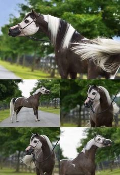 the horse has long hair on it's head and is being shown in three different pictures