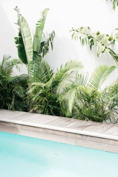 an empty swimming pool surrounded by palm trees and greenery on the side of a building