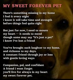 the poem is written in front of a dog's face and it says, my sweet forever pet