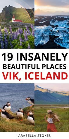 the cover of 19 insanely beautiful places in iceland, including mountains and seagulls