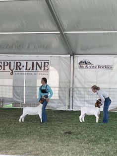 two women are holding their dogs in front of a white tent with the words spurline on it