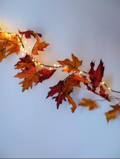 a string of lights is hanging from a wall decorated with autumn leaves and foliages