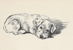 a black and white drawing of a dog laying on the ground with his head down