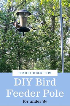 a bird feeder hanging from a tree with the words diy bird feeder pole for under $ 5