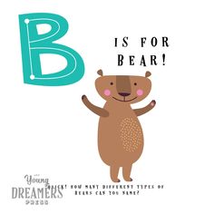 the letter b is for bear with an animal holding it's paws in front of its