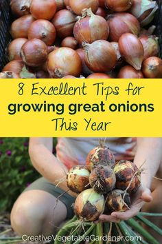 an image of onions in baskets with the title 8 excellent tips for growing great onions this year