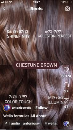 Brown Hair Color Chart, Cherry Hair Colors, Chestnut Brown Hair, Hair Foils, Colour Touch Wella, Strawberry Blonde Hair Color