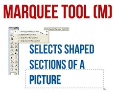 the text reads marquee tool m selects shaped sections of a picture in red and blue