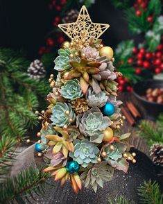 a christmas tree made out of succulents and pine cones