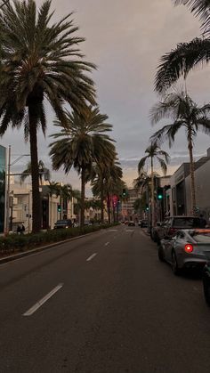 palm trees line the street in front of buildings and traffic lights on a cloudy day