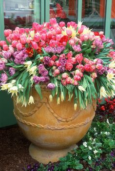 a large pot filled with lots of flowers next to a green door and window sill