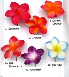 four different types of flowers are shown in this image, each with their own name