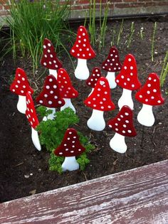 small red and white mushrooms sitting in the dirt next to some green plants on top of a wooden bench