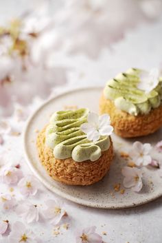 two cupcakes with green frosting and white flowers on a plate next to petals