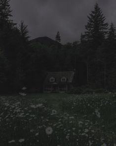 a house sitting in the middle of a forest under a dark sky filled with clouds